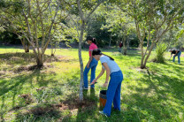 Durante la jornada, estudiantes voluntarios de diversas facultades participaron en labores de limpieza y cuidado de los plantones, fortaleciendo su compromiso con la conservación del entorno universitario y la promoción de una cultura de responsabilidad ambiental. Durante la jornada, estudiantes voluntarios de diversas facultades participaron en labores de limpieza y cuidado de los plantones, fortaleciendo su compromiso con la conservación del entorno universitario y la promoción de una cultura de responsabilidad ambiental.