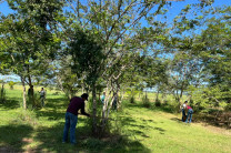 La actividad tuvo como propósito dar seguimiento al mantenimiento y cuidado de los árboles sembrados durante jornadas de reforestación anteriores, contribuyendo a su adecuado desarrollo y a la conservación de las áreas verdes del Centro Regional. La actividad tuvo como propósito dar seguimiento al mantenimiento y cuidado de los árboles sembrados durante jornadas de reforestación anteriores, contribuyendo a su adecuado desarrollo y a la conservación de las áreas verdes del Centro Regional.