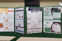 Posters de estudiantes con proyectos de investigación 