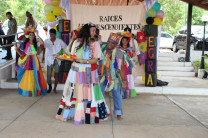 Presentaciones culturales. Presentaciones culturales.