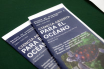 UTP fortalece su participación en la Red Panameña de Datos Marinos y en iniciativa científica de la COI-UNESCO. UTP fortalece su participación en la Red Panameña de Datos Marinos y en iniciativa científica de la COI-UNESCO.
