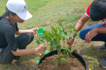 Siembra de plantas por los estudiante 