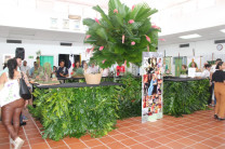 Stands de Expoflora.