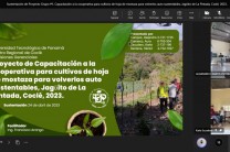 Sustentación del proyecto, de manera virtual, desde Jagüito de La Pintada.