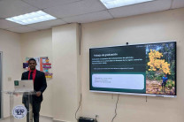 UTP, FCT, Universidad Tecnológica de Panamá, Facultad de Ciencias y Tecnología, Licenciatura en Ingeniería Forestal  