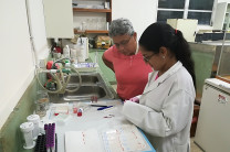 Se realiza diferentes trabajos de laboratorio para los informes del proyecto.