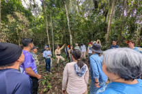 Visita técnica exploratoria. Visita técnica exploratoria.