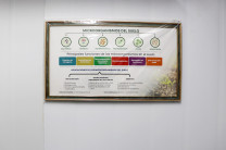 Microorganismos del suelo.