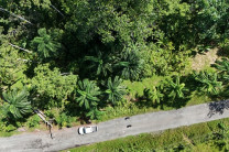 Vista aérea del cultivo.