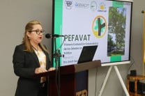 Evaluación Fotosintética de los Árboles en la ciudad de Panamá. 