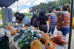 A la feria asistieron más de 12 productores de diferentes rubros.