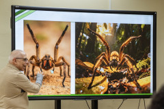 El CIHH realiza conferencia sobre los riegos ambientales en el habitad de los animales  l