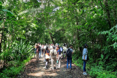 Gira Académica a el Centro de Visitantes del Rainforest Discovery Center en las cercanías del Parque Nacional Soberanía por estudiantes del centro Regional de Panamá Oeste. 