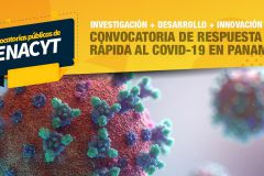 Imagen del afiche de la Convocatoria hecha por la SENACYT.