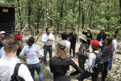 Holandeses visitan el proyecto, del CIHH relacionado a medición de flujo de carbono y agua en los manglares.