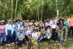 Universidad Tecnológica de Panamá