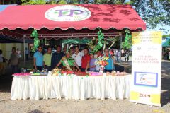 UTP participa de Feria Folclórica en MEDUCA.
