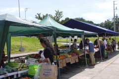 Feria de Productos en la UTP.