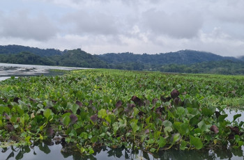 Cuenta media alta del río Chagres