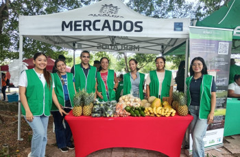 Ecointercambio- Ecocreando