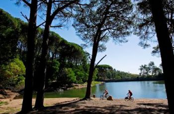 Paisaje y ambiente.