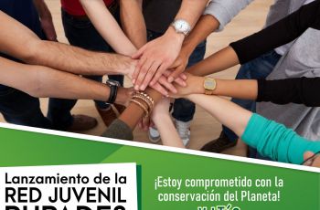 Consejo de Rectores de Panamá