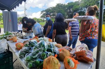 A la feria asistieron más de 12 productores de diferentes rubros.