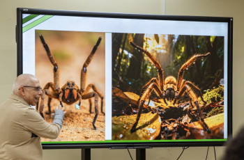 Riesgos y Enfermedades Tropicales El CIHH realiza conferencia sobre los riegos ambientales en el habitad de los animales l