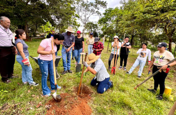 Estudiantes y docentes realizan siembre de Guayacanes 
