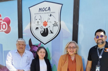 UTP, FCT, Universidad Tecnológica de Panamá, Facultad de Ciencias y Tecnología, Coordinación Extensión FCT 