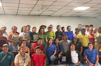 Participante. Participante del seminario.