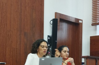 Aseguramiento de la calidad.