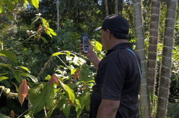 Ing. Abelardo Franco.