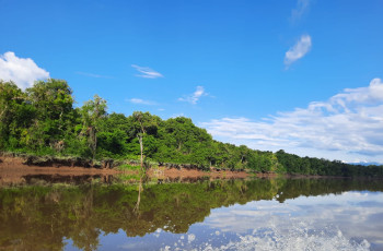 Complejo de Humedales de Matusagaratí ubicado en la provincia de Darién