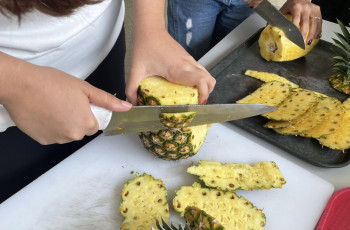 Estudiantes realizan pruebas de sabor de la piña cosechada en el Centro Regional Estudiantes realizan pruebas de sabor de la piña cosechada en el Centro Regional