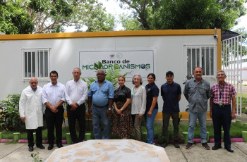Foto grupal de la actividad. Foto grupal de la actividad.